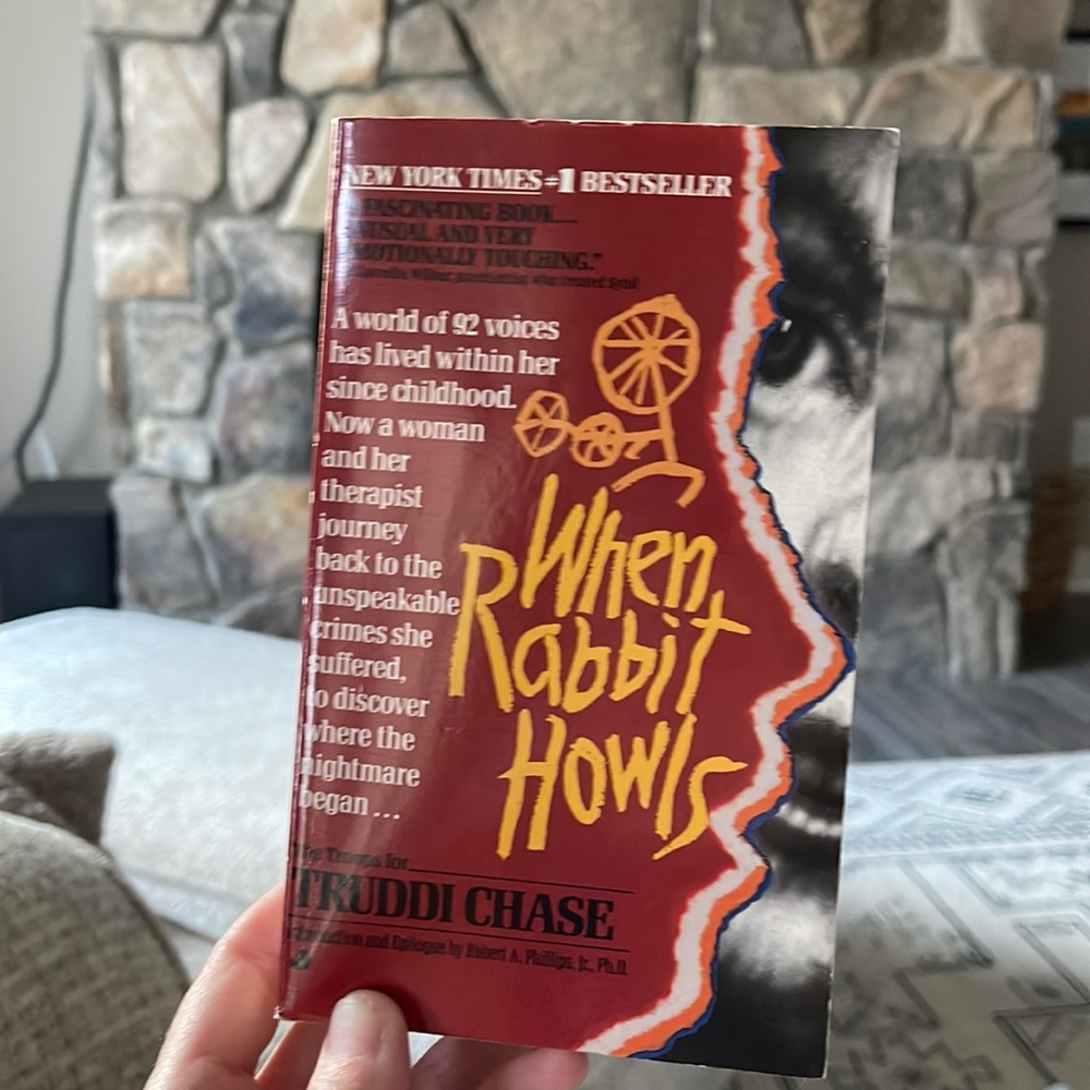 When Rabbit Howls Used Book great condition